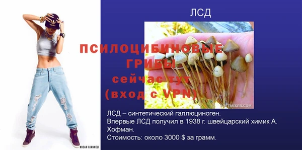 эйфоретик Аркадак