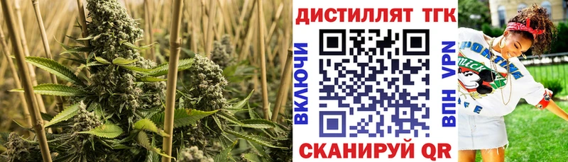 Дистиллят ТГК концентрат  Родники 