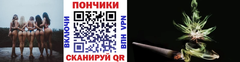 как найти закладки  Родники  Конопля сатива 